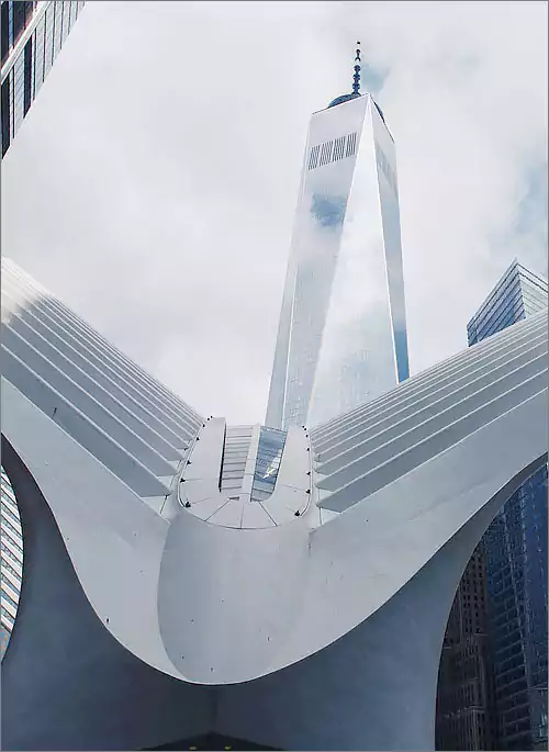 Sustainable Architects